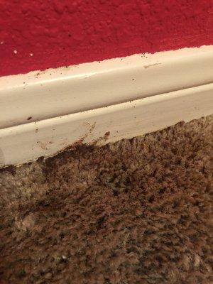 Poor service and quality, our house was contracted to be cleaned by this company and this is what they consider quality work