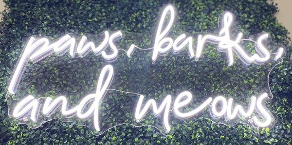 Social Media Wall Inside Lobby