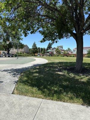 Neighborhood park. Small and quaint.