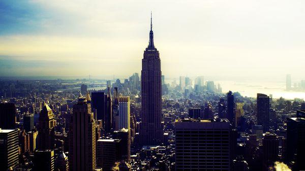 Professional Legal Services