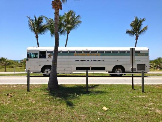 if you're going to get into trouble, you're probably best off doing it in paradise