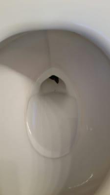 My "clean" toilet ring.