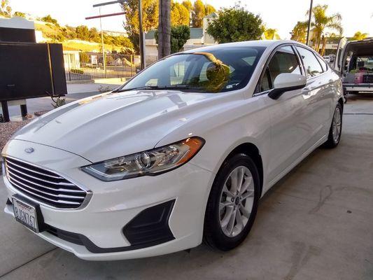 Lucky Froggy Mobile Detail