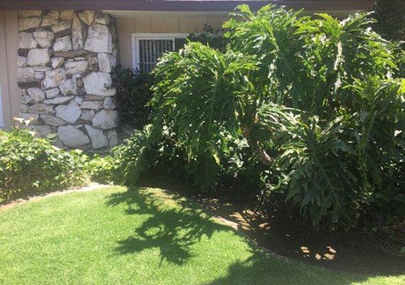 Kids First Visitation