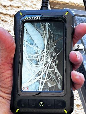 Protiva Cleaning Services