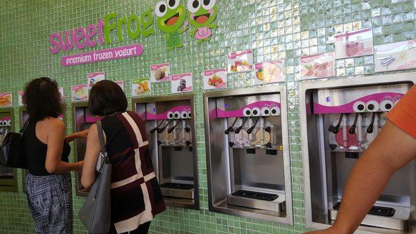 Selections of yogurts (self serve)