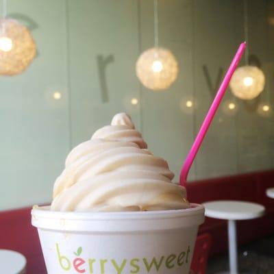 Horchata gelato yogurt! Tastes just like horchata with a yogurt texture