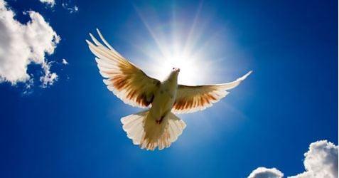 "Dignified service" does not mean "expensive funeral"