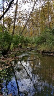Brandywine Creek & Nature Park