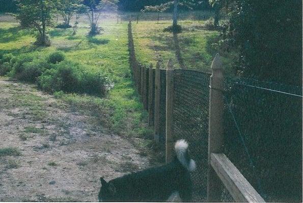 Black Vinyl Coated Chain Link and Wood Posts (California Style) Fence
