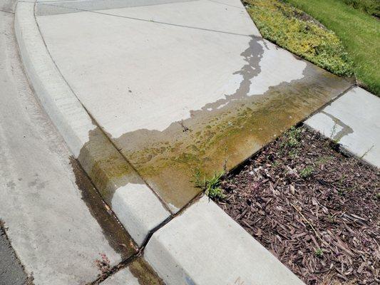 Diaz and Flores Landscape