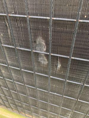 Fuchs Lawn & Landscaping