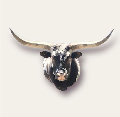 The Young-Outlaw Ranch