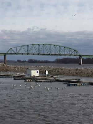 Weed Park Maintenance