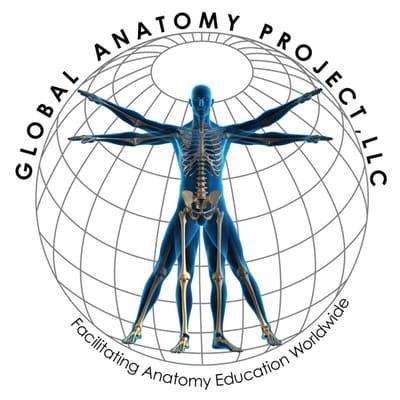 Global Anatomy Project