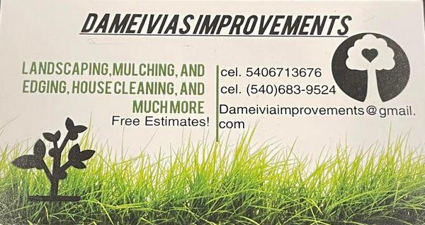 Dameivias Improvements