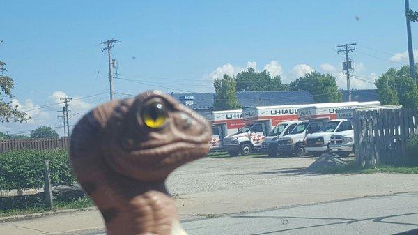 Bob the Raptor Says "These moving truck don't look at all like they are moving."