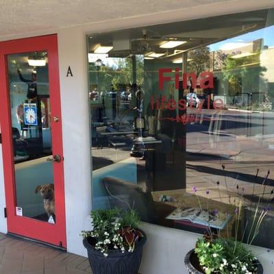 Fina Lifestyles at its new home