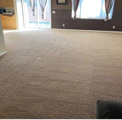 Royal Carpet Cleaning