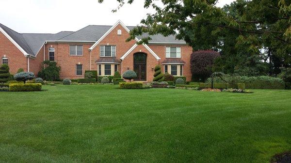 For a Green and Healthy Lawn