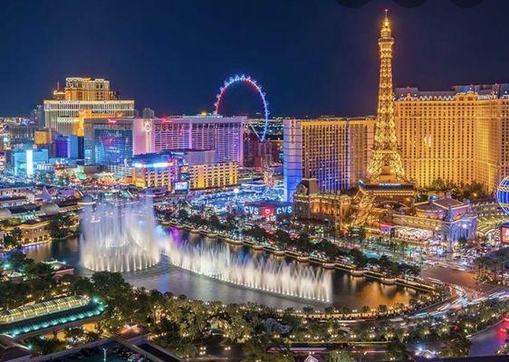 Sachie McQueen - Apollon 7 Group