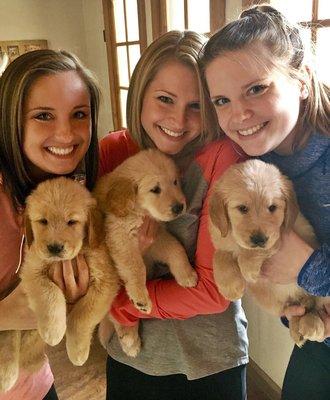 Card Heating & Air Conditioning Services