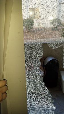 Someone threw a rock at our window and apartment wanted to blame us.