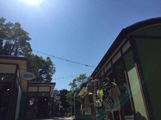 BBMS at the Idea Hatchery!