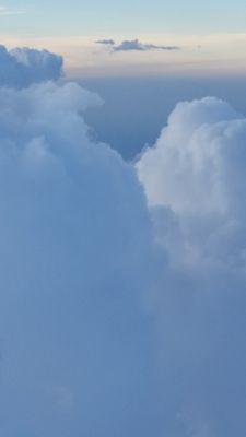 Cabell's Industries Medical Courier