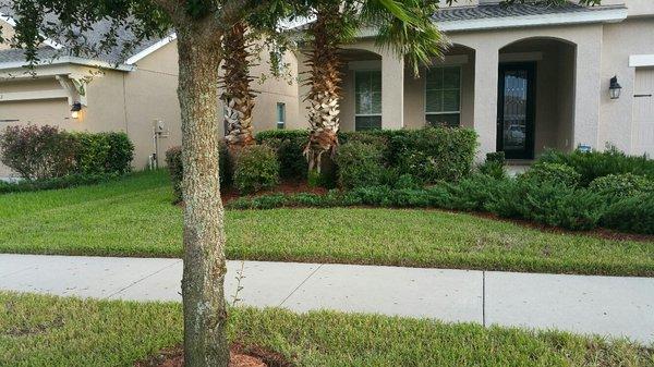 Latest violation letter about offending tree branch in front of our house