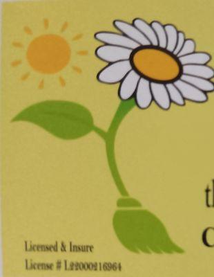 The Cleaning Sunshine