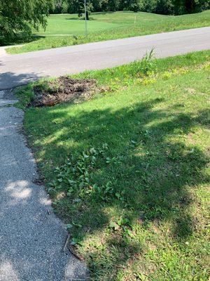 Rock Spring Golf Course