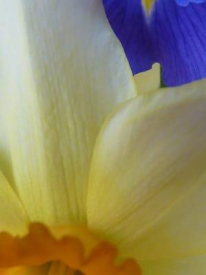 Janet Anthony MA, LPC