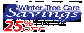Save up to 25% on all tree services