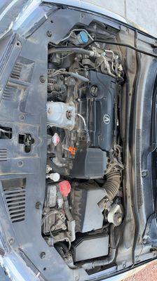 Sebastian Detailing Service