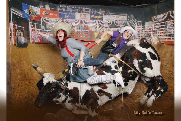The famous photo bull inside Billy Bobs Texas worlds largest honky tonk