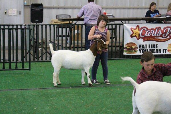 Weld County Fair 2016