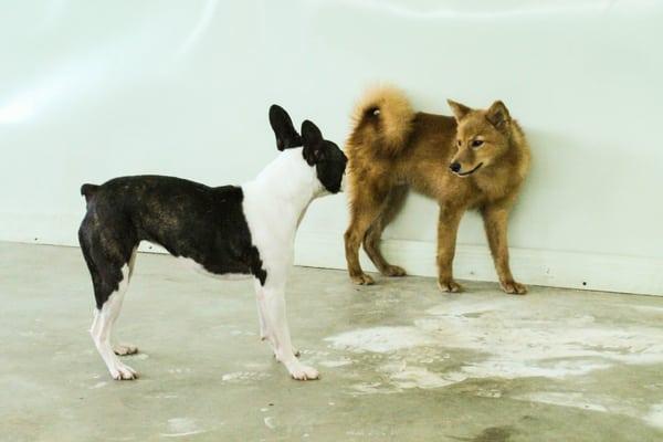 The walls are covered with a protective sheeting. The floors are sealed concrete.
