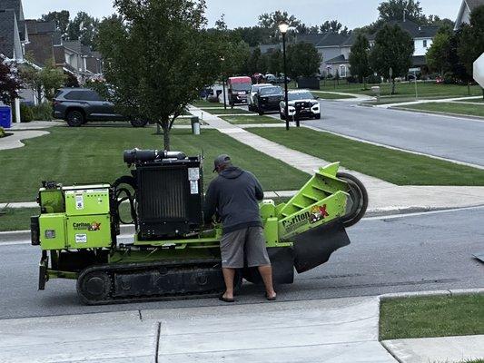 Half Price Stump Grinding
