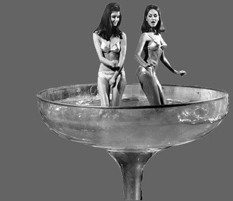 DRINK LIKE A GROWNUP!