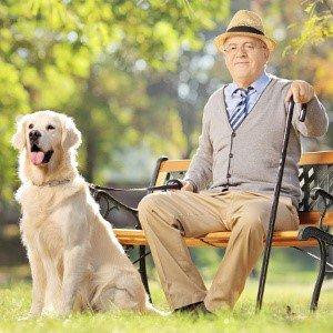 We can assist with walking/caring for your pets