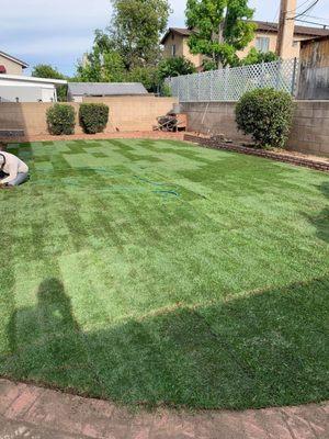 Better View Gardening