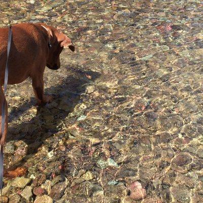 Two Medicine Campground