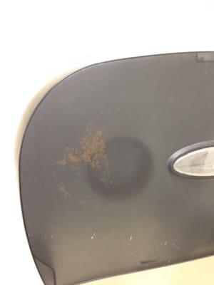 Yes, this is the toilet paper dispenser. And yes, that is dried poop on there. This bathroom surpassed JC Penney's in grossness.