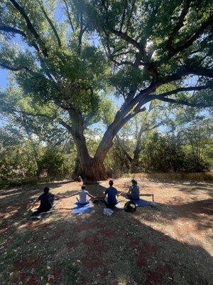 Health is Wealth Yoga