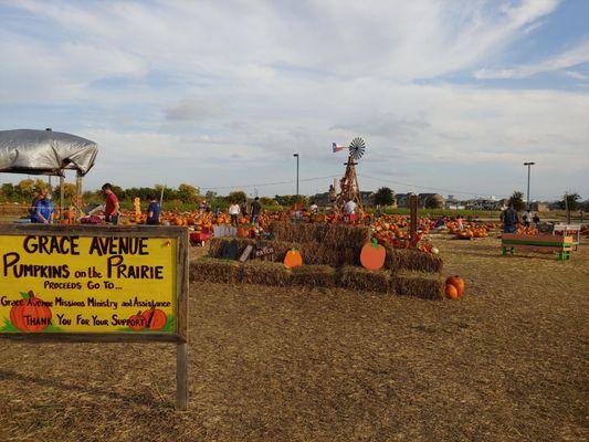 Pumpkins on the Prairie