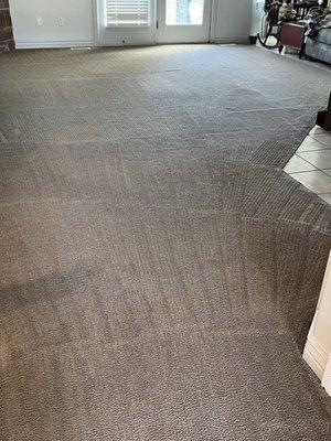 Best Bet Carpet Systems