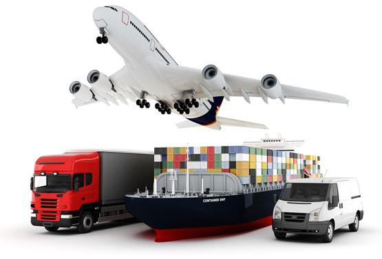Cargo Pulse Logistics