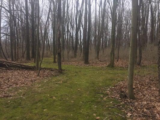 Waterworth Memorial Park