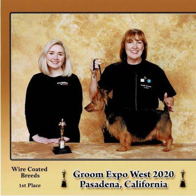 Julie's Mobile Pet Spa